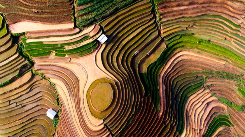 Arial-shot-of-Grass-Fields Arial-shot-of-Grass-Fields
