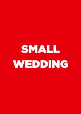 Small Wedding